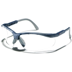 Protective reading spectacles ZEKLER 55 Bifocal