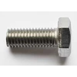 Screw M10x25 A2