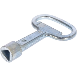 Legrand Triangular male cylinder key 11mm (036541)