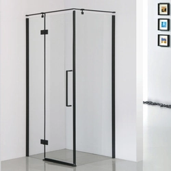 Rectangular shower cubicle 80x120 FRESH LINE Sea-Horse black, transparent glass, left