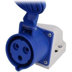 CEE socket outlet Pce 1252-9v Surface mounted (plaster) 200 - 250 V (50+60 Hz) blue Blue IP67 Screwed terminal