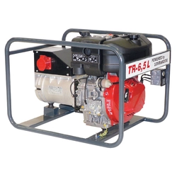 TR-6.5 L diesel generator