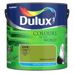 Dulux Colors of the World 2.5L Wild climbers