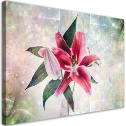 Canvas Print, Pink lily -120x80