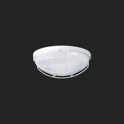 Ceiling-/wall luminaire Osmont White Plastic, transparent IP65