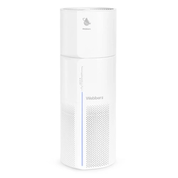 Webber air purifier AP8250