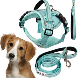 Dog leash and harness PJ-057 green M