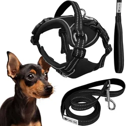 Dog leash and harness PJ-051 black S