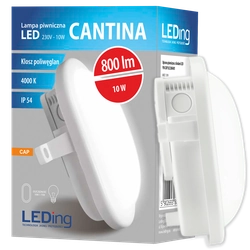 CANTINA 10W 230V LEDING LED cellar lamp