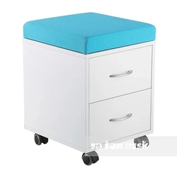 A functional container on wheels SHELF SS15W Blue