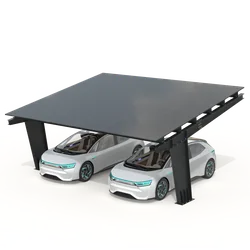 Abri de voiture avec panneaux photovoltaïques - Modèle 01 (2 places)