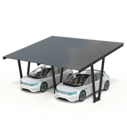 Abri de voiture avec panneaux photovoltaïques - Modèle 06 (2 places)