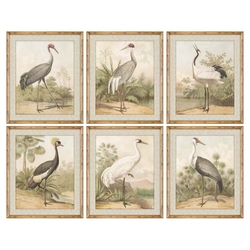 Obraz DKD Home Decor Vták (50 x 2,5 x 60 cm) (6 ks)