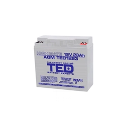 Акумулатор AGM VRLA 12V 23A High Rate 181mm x 76mm x h 167mm M5 TED Battery Expert Holland TED003362 (2)