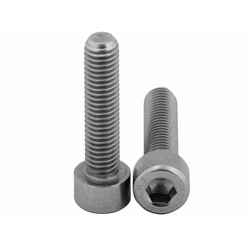 Allen screw stainless steel M8x20