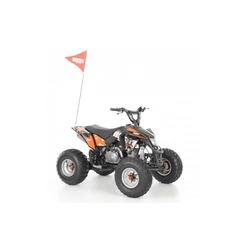 ATV Hecht 54125 Black, engine capacity 7.6 hp, equipped with automatic clutch and electric start