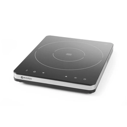 Induction cooker 2000 model