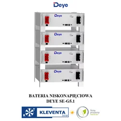 BATTERIA+ BMS DEYE SE-G5.1 Pro-B 100Ah 51,2 V LiFePO4 5,12 kWh +BMS SE-G5.1 Pro