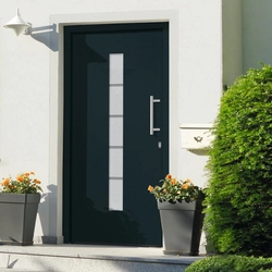 Entrance doors, aluminum and PVC, anthracite, 100x200 cm