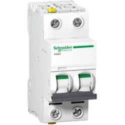 Schneider Electric Wyłącznik nadprądowy iC60H-C16-2 C 16A 2-biegunowy (A9F07216)