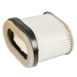 B&S Quantum Air Filter New Oval 8R01-39