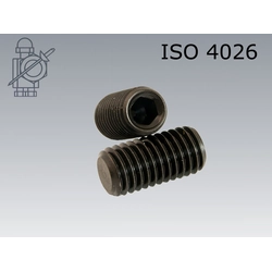 Screws Set screws M5x8 ISO4026