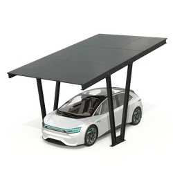 Carport mit Photovoltaik-Paneelen - Modell 06 ( 1 Sitzplatz )