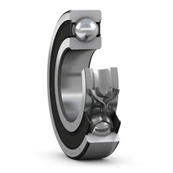 Cuscinetto 6007 -2RS1 SKF