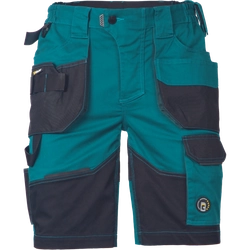 DAYBORO shorts fotogen 42