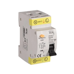 Circuit breaker with overcurrent element KRO6 2P B10 30mA AC Kanlux Ideal