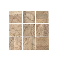 Decorare perete Acasă ESPRIT Natural Modern Frunză de plantă 90 x 3 x 90 cm (9 Piese)