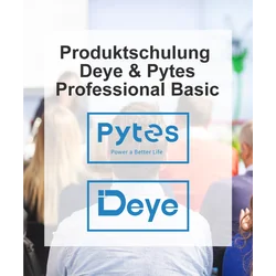 Deye & Pytes tootekoolitus “Professional Basic”