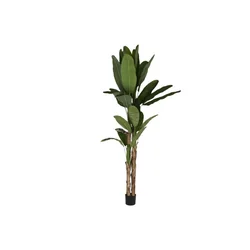 Διακοσμητικό φυτό Σπίτι ESPRIT τσιμέντο πολυαιθυλενίου μπανάνα 90 x 90 x 290 cm