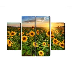 Dipinto in più parti Campo di girasoli al tramonto 3D