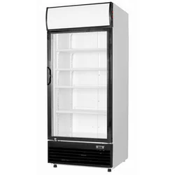 Display di refrigerazione a LED Lg-660fm 660l smaltato - Frigorifero per negozi