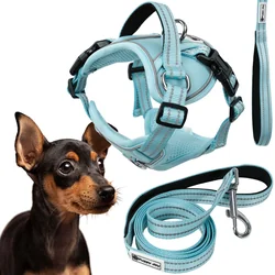 Dog leash and harness PJ-054 blue S