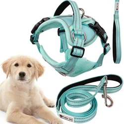 Dog leash and harness PJ-061 green L