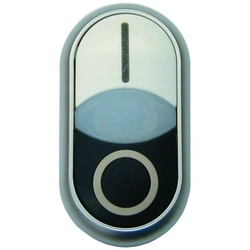 Drive M22-DDL-WS-X1/X0 illuminated double push-button with spring return