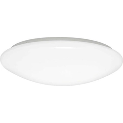 Ecolit WS005-22W/LED-STR Кръгла LED лампа ANELA 22W дневно бяла