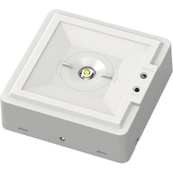Ecolite TL8011LK-LED éclairage de secours à LED 2,8W dispersion ronde blanc froid