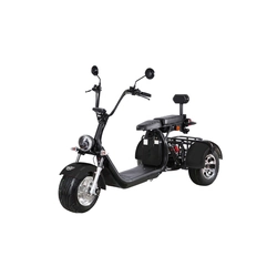 Electric scooter HECHT Cocis Max Black, 3 wheels, battery 60 V, 20 Ah, engine 1500 W, maximum speed of 35 km/h, black