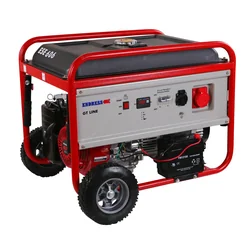 ENDRESS ESE 606 DHS-GT generator de energie