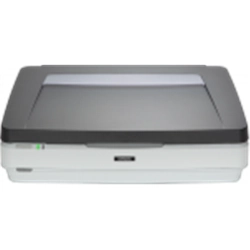 Epson-Ausdruck 12000XL Pro-Grafikscanner