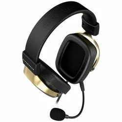 Forgeon Black Headphones with Microphone