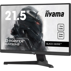 Iiyama monitor G2250HS-B1