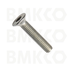 Furniture screw, countersunk head, Allen key, steel 4.6, white zinc, m6x45 mm