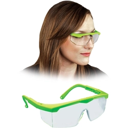 GOG-LEARN Protective Glasses