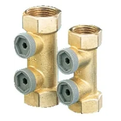 HAM check valve, 1 inch, anti-contamination, internal thread EA291NF