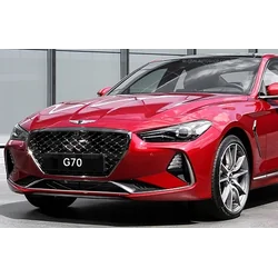 Hyundai Genesis G70 — Chrome Strips Grill Chrome Dummy Bufer Tuning