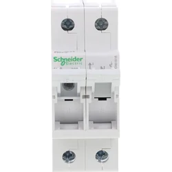 Interrupteur-sectionneur Schneider Electric avec fusibles D01-16-1N MGN01616